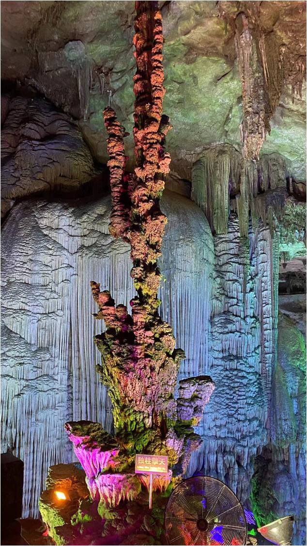 1685073061616860.jpg 1685073061616860.jpg